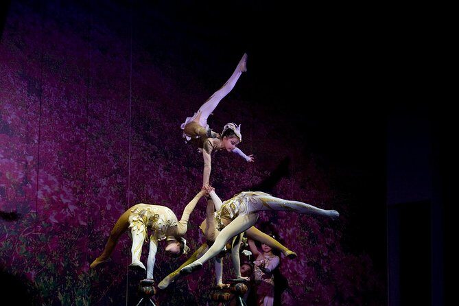 Beijing Night Tour- Acrobatic Show with Transfer - The Experience: What You Can Expect