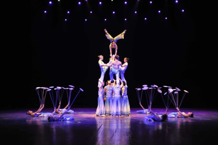 Beijing: Night Tour of Acrobatics Show Including Transfer - Activity Details