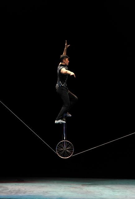 Beijing: Night Tour of Acrobatics Show Including Transfer - Activity Highlights