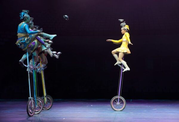 Beijing: Night Tour of Acrobatics Show Including Transfer - The Sum Up
