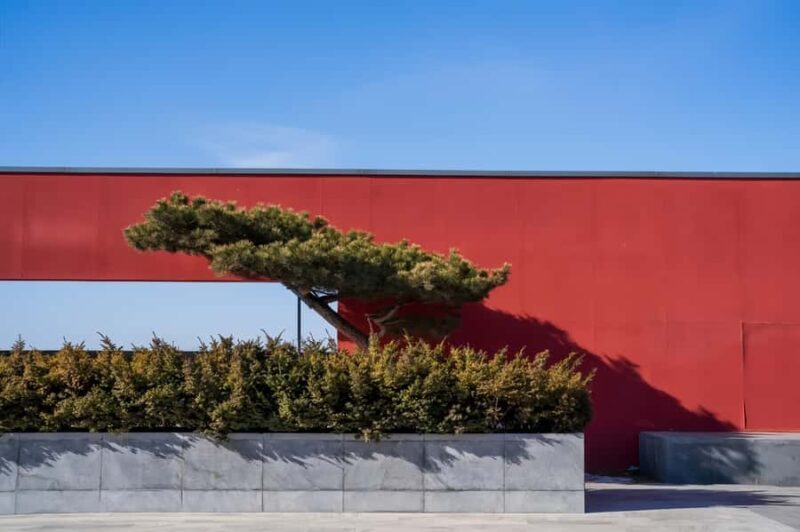 Beijing: Old Town Walking Tour with Temples, Art & Hutongs - What Do Reviewers Say?