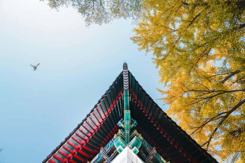 Beijing: Peking University Campus Guided Walking Tour - FAQ