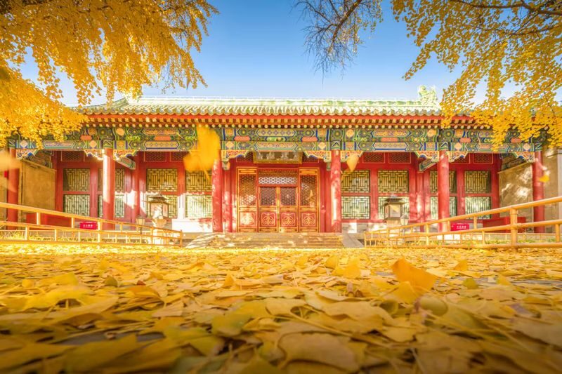 Beijing Prince Gongs Mansion and Yonghe Temple Full-Day Heritage Tour - Key points before you book