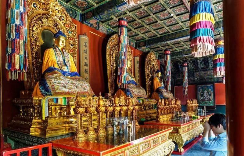 Beijing Prince Gongs Mansion and Yonghe Temple Full-Day Heritage Tour - Who should book this heritage day