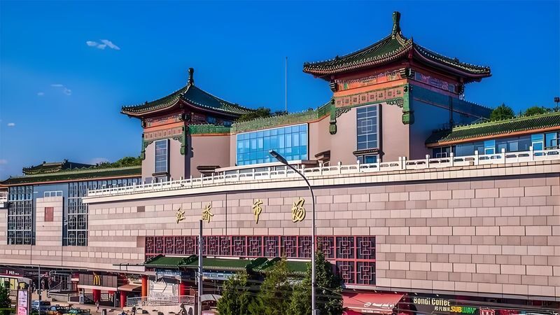 Beijing Prince Gongs Mansion + Nanluoguxiang + Free Shopping Half-Day Tour - Private transport, timing and pickup