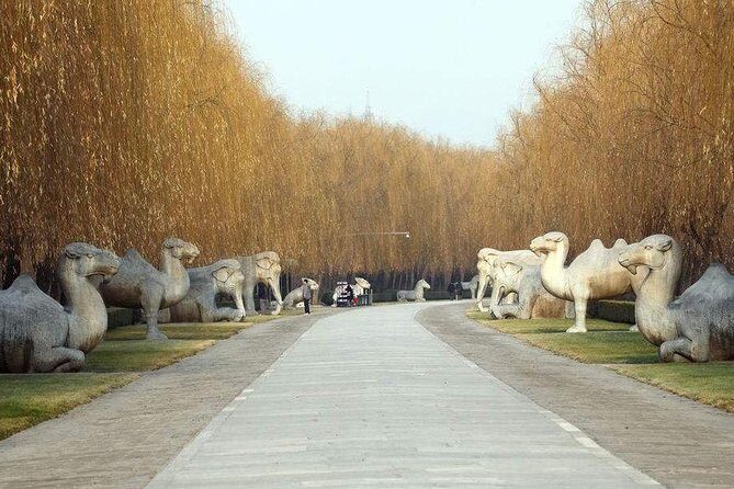 Beijing Private Day Tour to Ming Tombs - The Sum Up: Who Will Love This Tour?