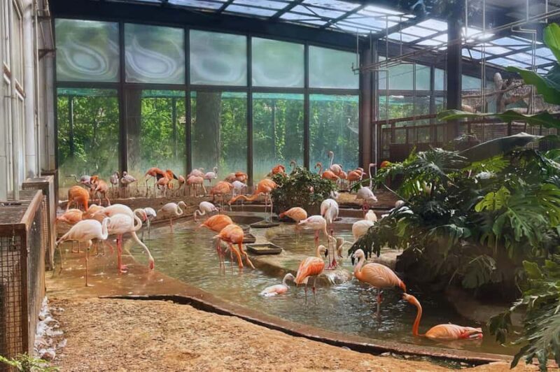 Beijing: Private Forbidden City & Panda Zoo Family Tour - What Reviewers Say