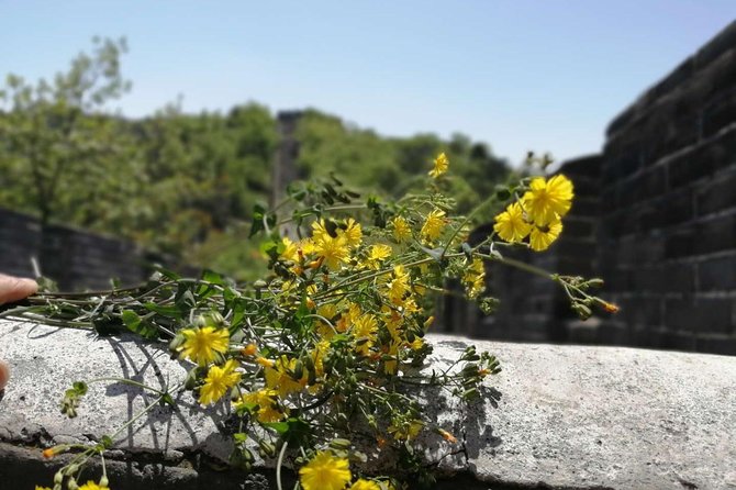 Beijing Private Transfer to Badaling Great Wall - Participation Information and Cancellation Policy