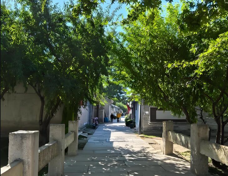 Beijing Qianmen Street Half-Day Guided Walking Tour - Is $16.85 good value?