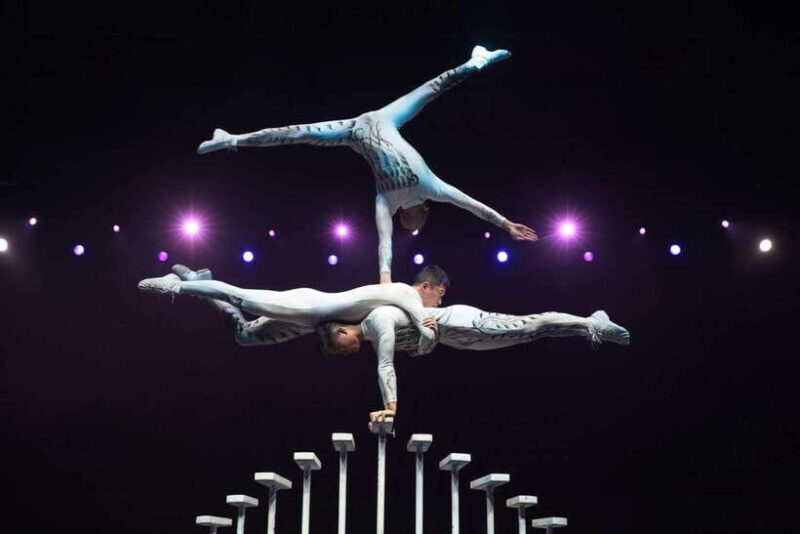 Beijing: Red Theatre Acrobatics show viewing Chinese culture - Who is This Tour Best For?