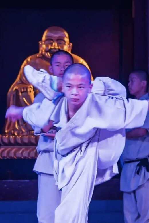 Beijing: Shaolin Temple Day Tour by Round Trip Bullet Train - FAQ Section