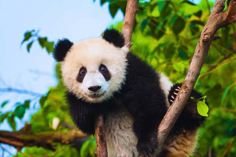 Beijing: Summer Palace Guided Tours & Top Park Combos - What You Need to Know