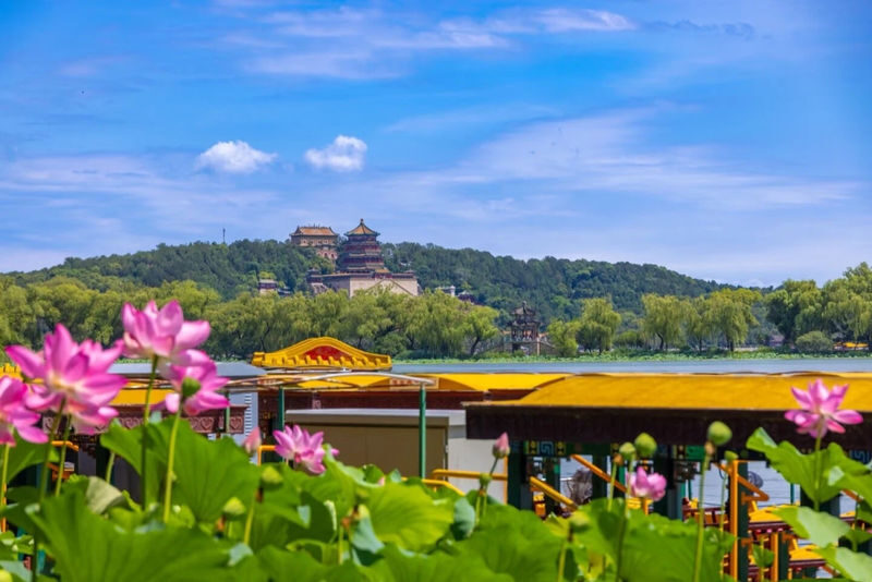 Beijing Summer Palace Half-Day Experience with Boat Cruise - Who should choose this experience