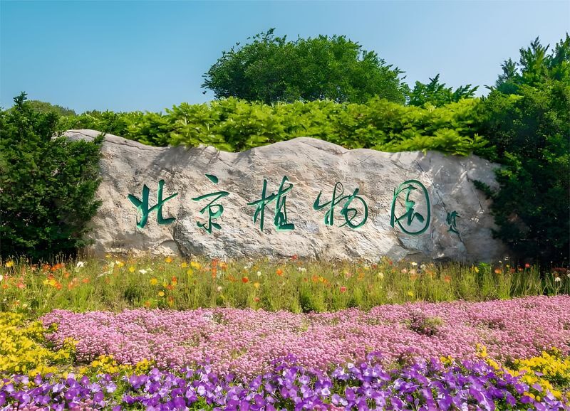 Beijing Summer Palace + National Botanical Garden + Free Shopping 1-Day Tour - A morning at the Summer Palace