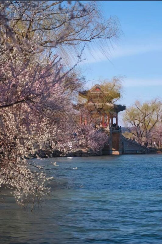 Beijing Summer Palace (Yiheyuan) Ticket + Electronic Audio Guide (multi-language options available) - Who will get the most from this visit?
