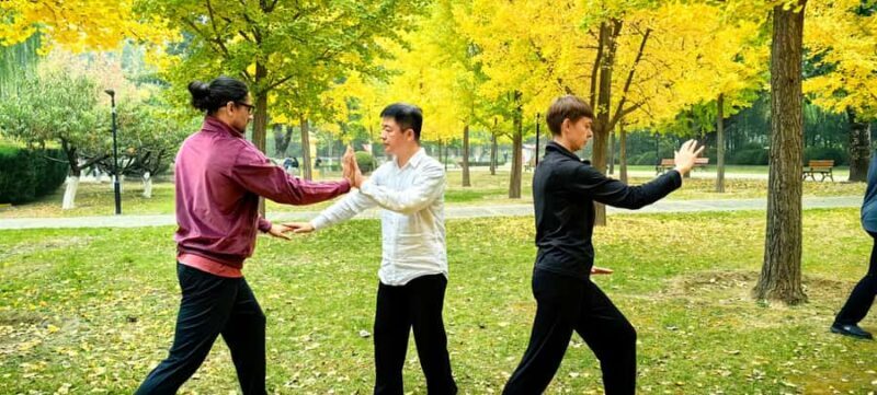 Beijing: Tai Chi Experience in the Temple of Heaven - Introduction