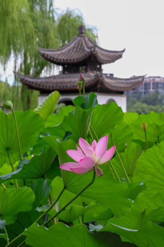 Beijing: Taoranting Park Entry Ticket - Good To Know