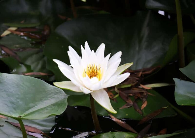 Beijing: Taoranting Park Entry Ticket - The Sum Up: Is It Worth It?