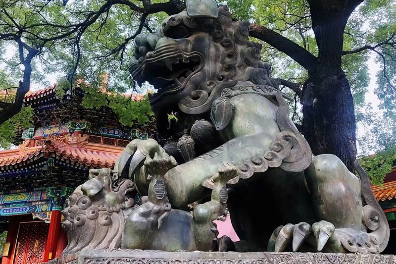 Beijing Temple of Heaven and Yonghe Temple One-Day Heritage Tour - The guide, group size, and language