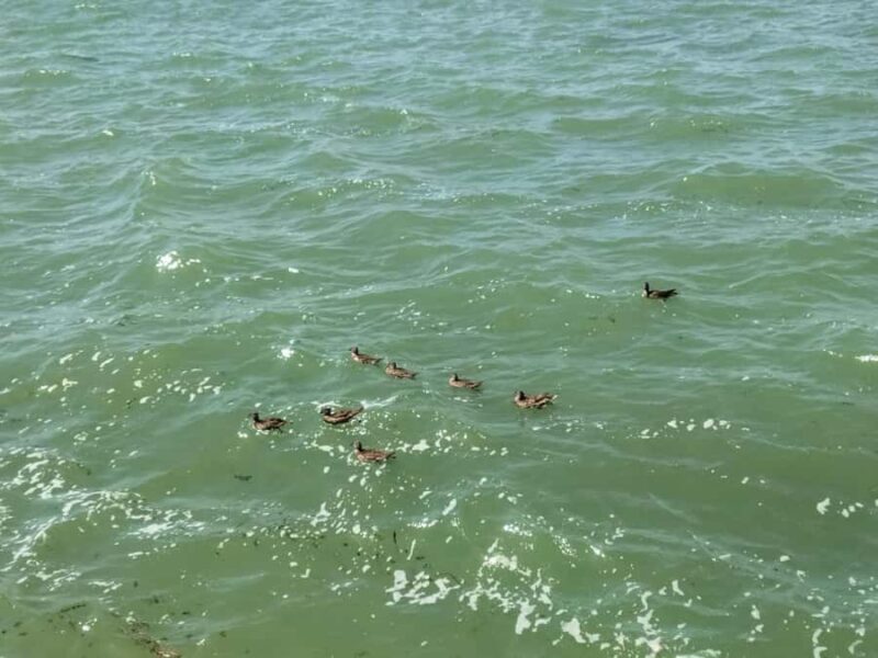 Beijing: Temple of Heaven, Summer Palace & Cooking Class - Good To Know