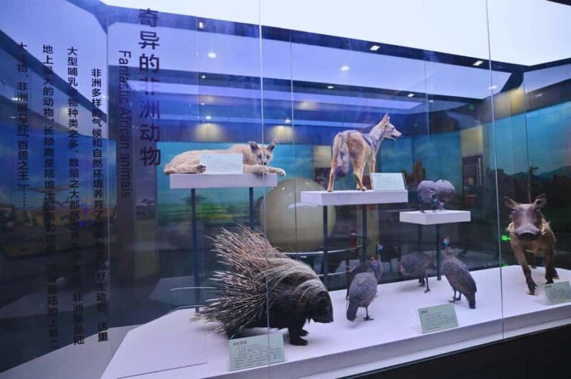 Beijing: Ultimate Cultural TourTemple, Museum & Old Street - Detailed Breakdown of the Itinerary