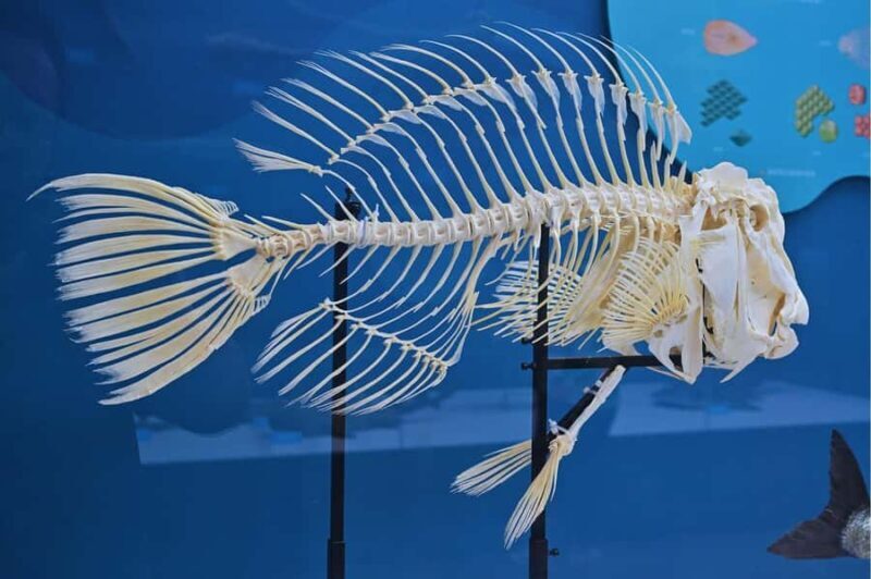 Beijing: Ultimate Cultural TourTemple, Museum & Old Street - The Experience on a Whole