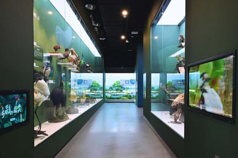 Beijing: Ultimate Cultural TourTemple, Museum & Old Street - Who Should Book This Tour?