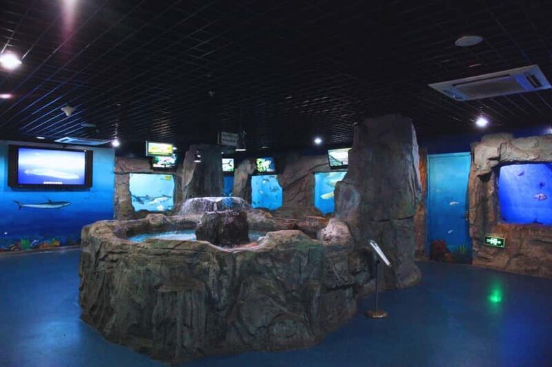 Beijing: Ultimate Cultural TourTemple, Museum & Old Street - The Sum Up