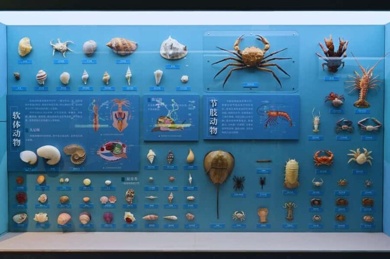 Beijing: Ultimate Cultural TourTemple, Museum & Old Street - Exploring the Tour: A Detailed Breakdown