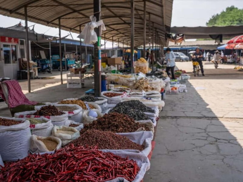 Beijing: Vegan Home Cooking & Local Market Tour with Sanxia - The Itinerary: What You Can Expect