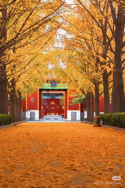 Beijing: Yonghe Lama Temple Tickets with guide (optional) - Good To Know