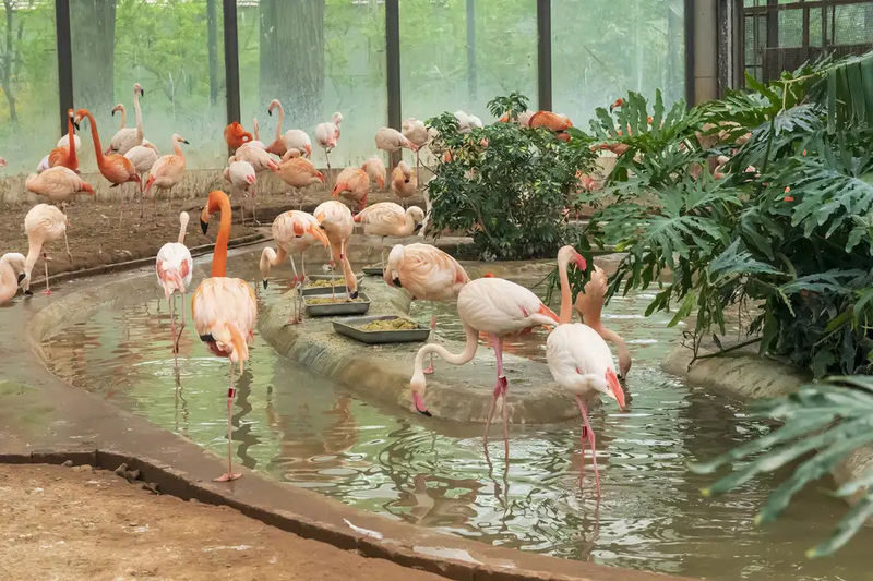 Beijing Zoo admission ticket - Add the aquarium for a second kind of visit