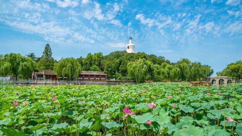 BeijingBeihai Park E-ticket Booking Service - Highlights of the Tour