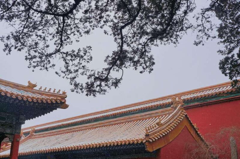 Beijing:Forbidden City & Tian'anmen Square with entry ticket - The Experience of Visiting: Authenticity and Practical Tips