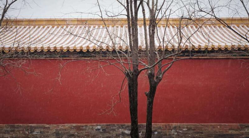 Beijing:Forbidden City & Tian'anmen Square with entry ticket - The Sum Up