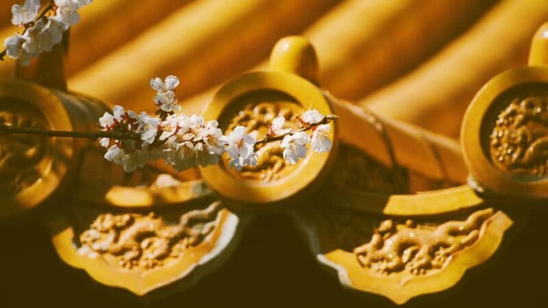 beijingPrivate guided tour of the Forbidden City and parks - An Authentic Dive into Beijing’s Iconic Sites