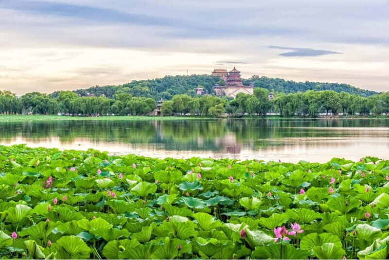 BeijingSummer Palace & Tea or Calligraphy Experience Tour - What’s Included and What’s Not