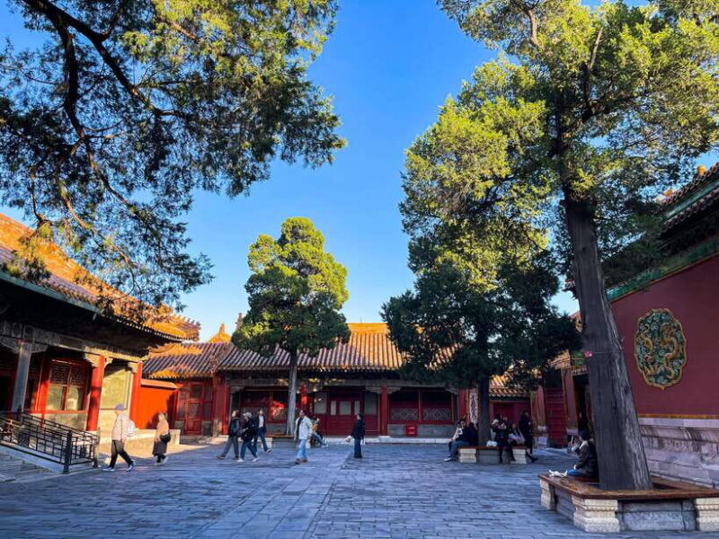 Beijing:Temple of Heaven+Forbidden City Private City Tour - A Deep Dive into the Experience
