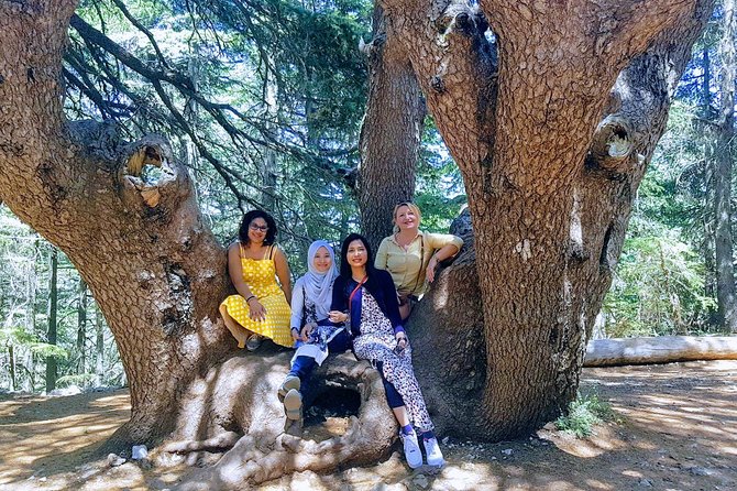 Beirut to Qadisha Valley, Bcharri & Cedar: Daily Tours With Lunch - Booking Information
