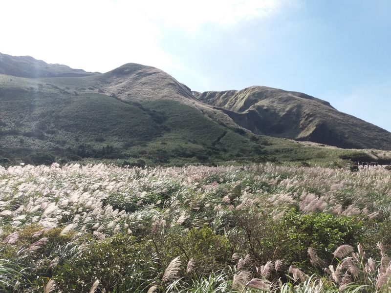 Beitou & Yangmingshan Day Tour: Thermal Valley, Xiaoyoukeng (From Taipei / Guaranteed Departure) - Lunch near Zhuzihu: plan to pay separately