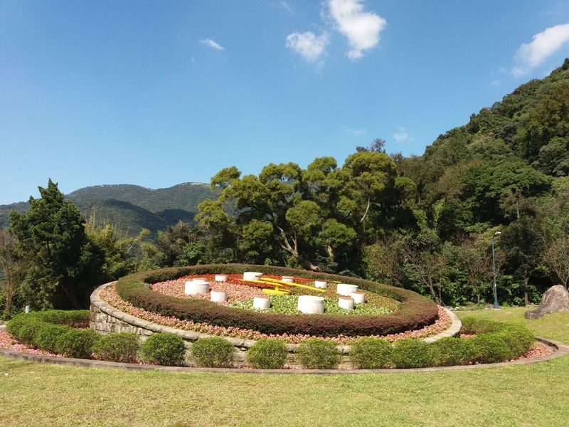Beitou & Yangmingshan Day Tour: Thermal Valley, Xiaoyoukeng (From Taipei / Guaranteed Departure) - Qingtiangang: grassland, buffalo, and open sky