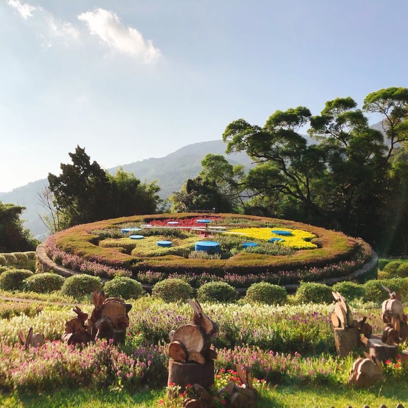 Beitou & Yangmingshan Day Tour: Thermal Valley, Xiaoyoukeng (From Taipei / Guaranteed Departure) - Guides, group pace, and what the reviews tell you