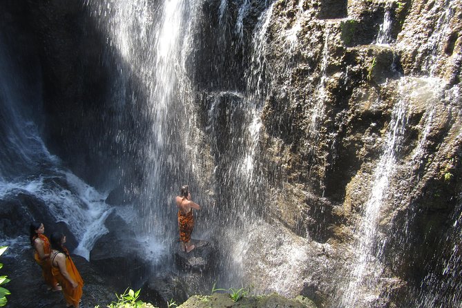 Beji Griya Waterfall and Shaman Visit - Ubud - Tour Overview and Highlights