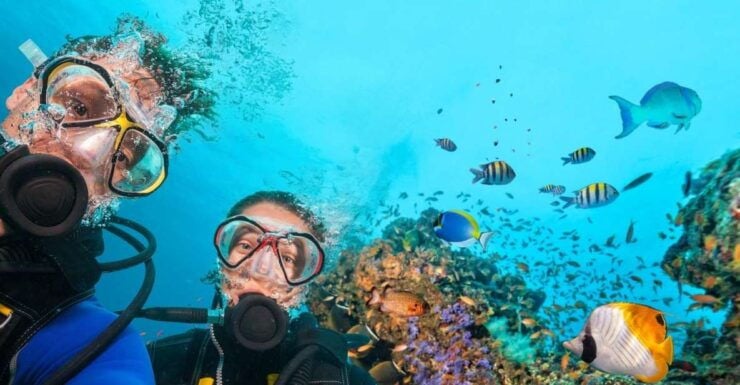 Belek: Scuba Diving in the Mediterranean Sea - Diving Experience