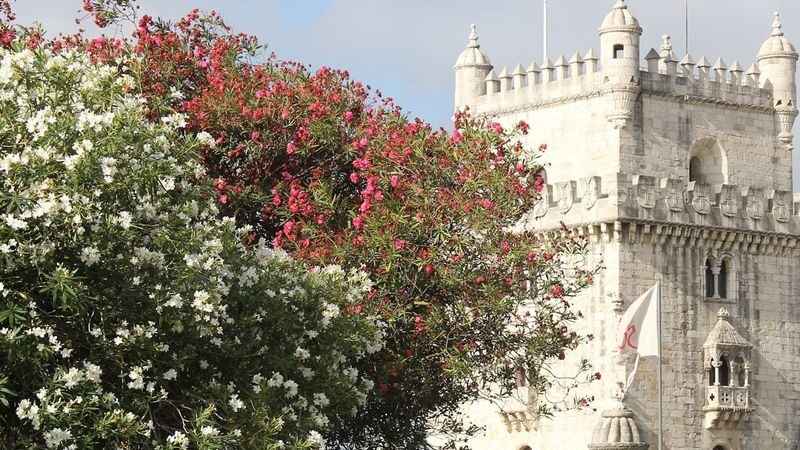 Belem Tower ticket in Lisbon - Climb the spiral stairs for the Tagus view