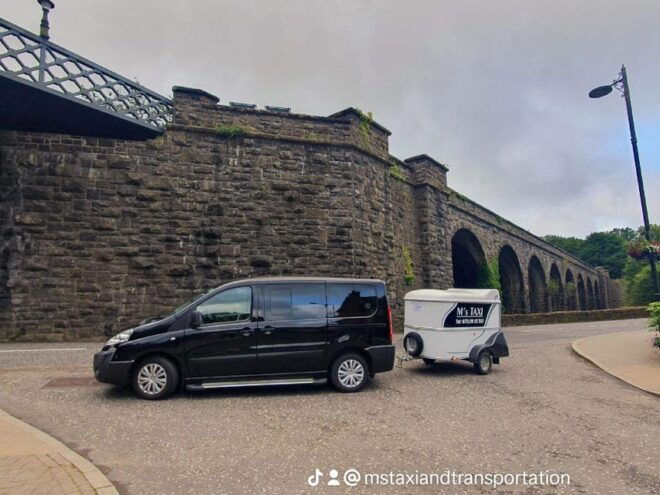 Belfast Cruise Port to Dublin Airport - Passenger Capacity