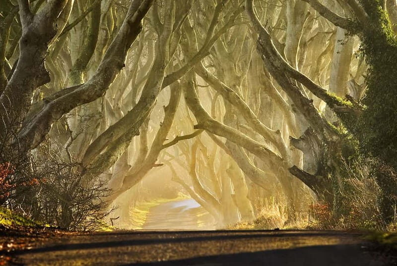 Belfast: Game of Thrones - Iron Islands & Giant's Causeway - Final Thoughts