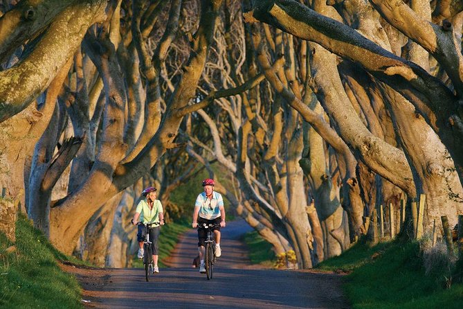 Belfast - Giants Causeway , Dunluce Castle and Dark Hedges - Additional Information