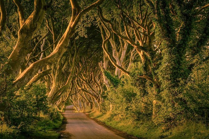Belfast - Giants Causeway , Dunluce Castle and Dark Hedges - The Sum Up