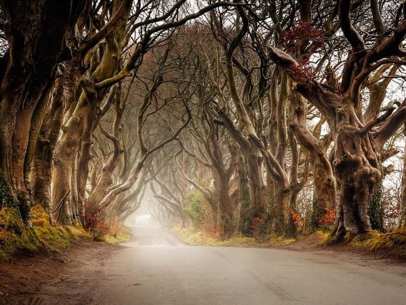 Belfast: Giant's Causeway Tour and 2-Day Open Top-Bus Tour - Authentic Experiences from Past Travelers